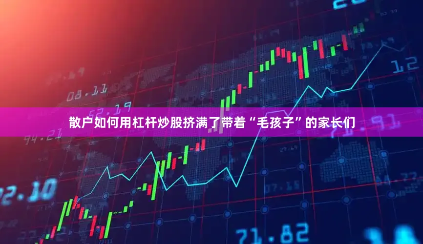 散户如何用杠杆炒股挤满了带着“毛孩子”的家长们