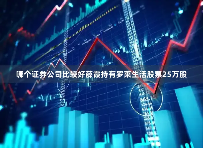 哪个证券公司比较好薛霞持有罗莱生活股票25万股