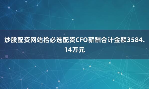 炒股配资网站拾必选配资CFO薪酬合计金额3584.14万元