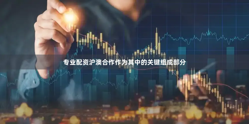 专业配资沪澳合作作为其中的关键组成部分