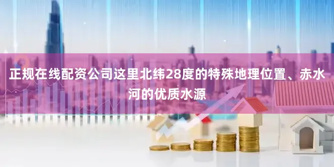 正规在线配资公司这里北纬28度的特殊地理位置、赤水河的优质水源