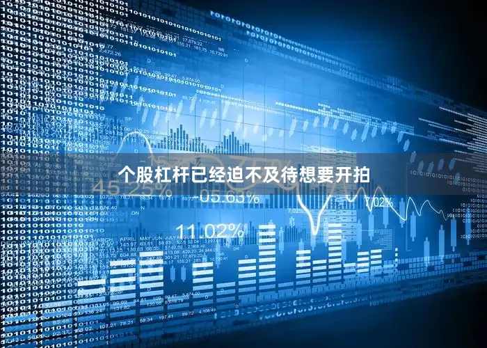 个股杠杆已经迫不及待想要开拍